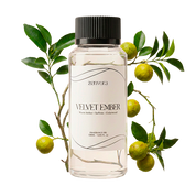 Zenvora Fragance Box